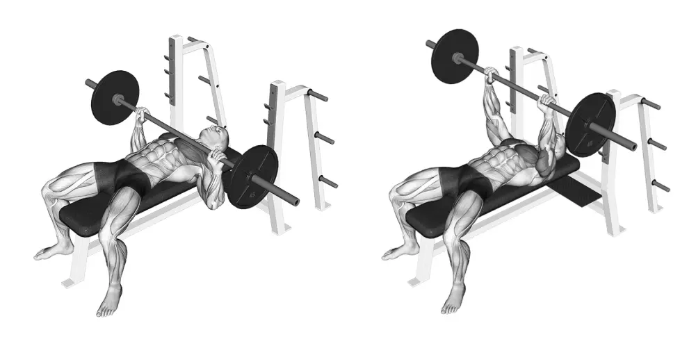 Barbell Bench Press