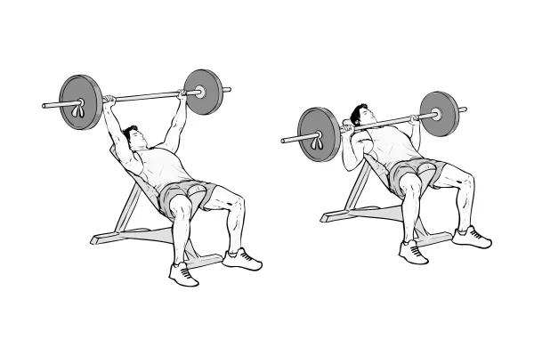 Incline Barbell Bench Chest Press