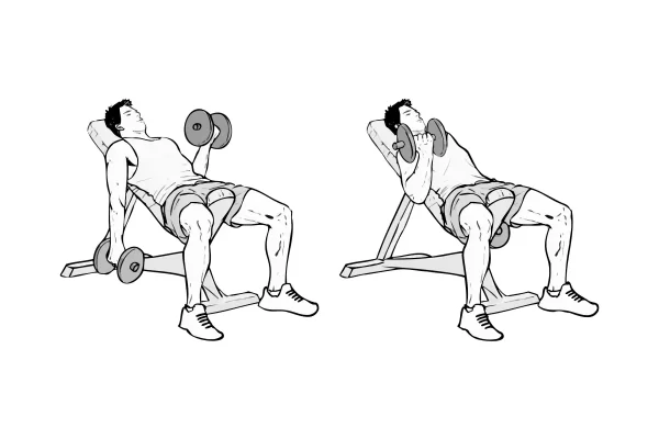 Incline Bench Dumbbell Curls