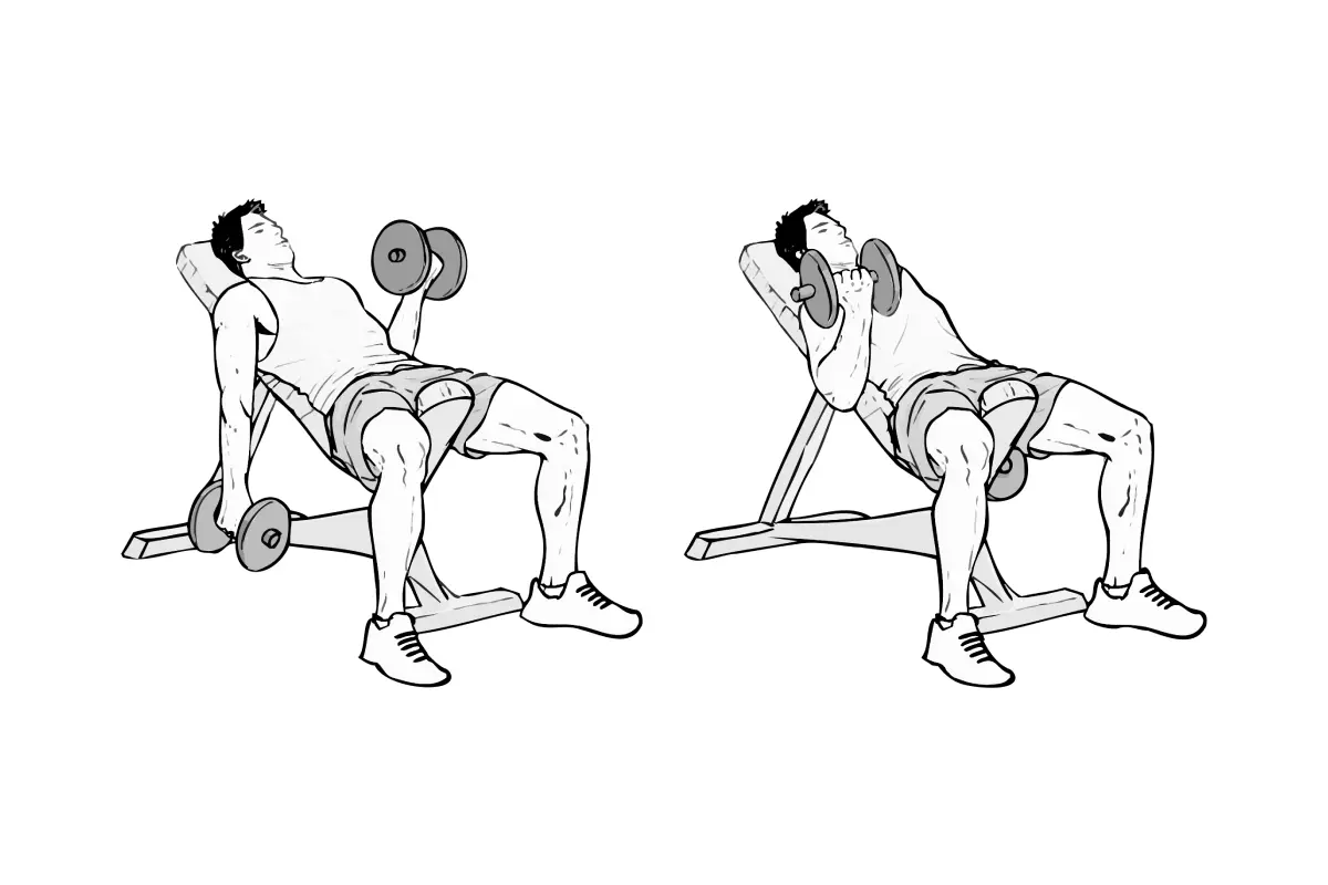 Incline Bench Dumbbell Curls