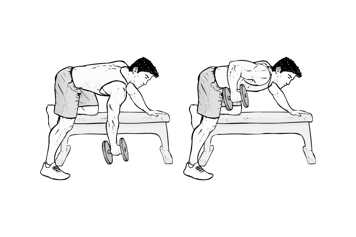 One Arm Dumbbell Bench Rows