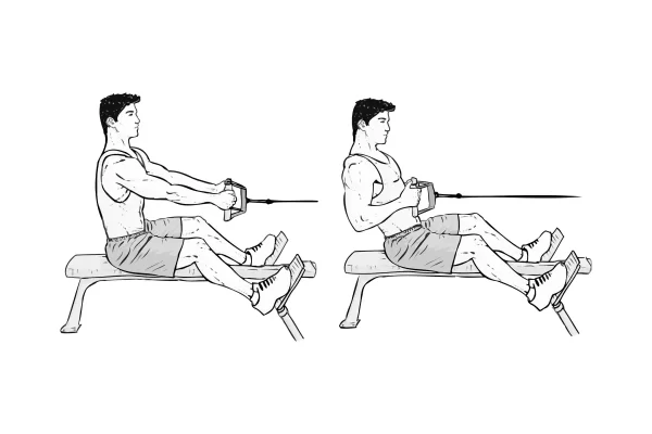 Seated Low Cable Back Rows