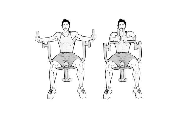 Seated Machine Flyes