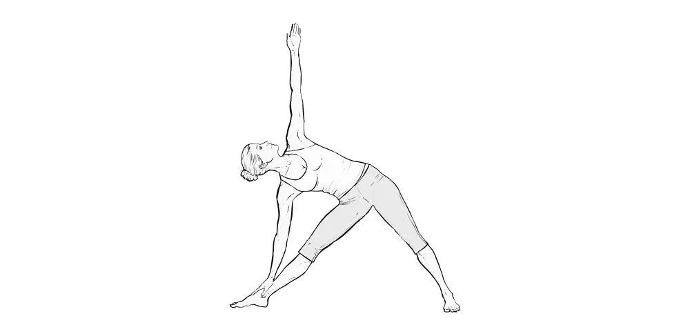 Trikonasana (Triangle Pose)