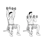 Arnold Dumbbell Press