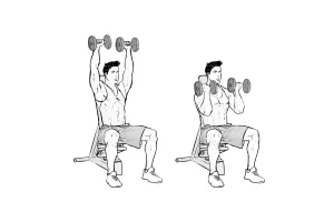 Arnold Dumbbell Press