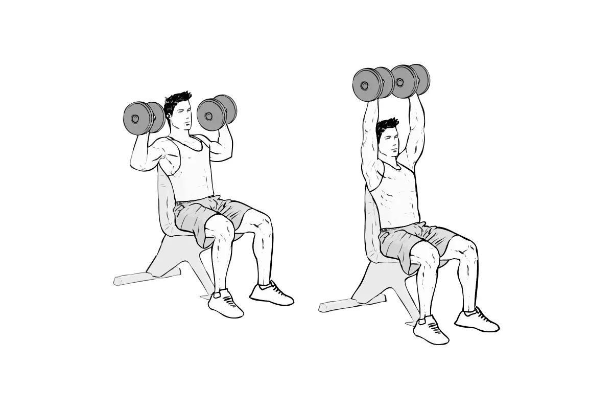 Dumbbell Overhead Shoulder Press