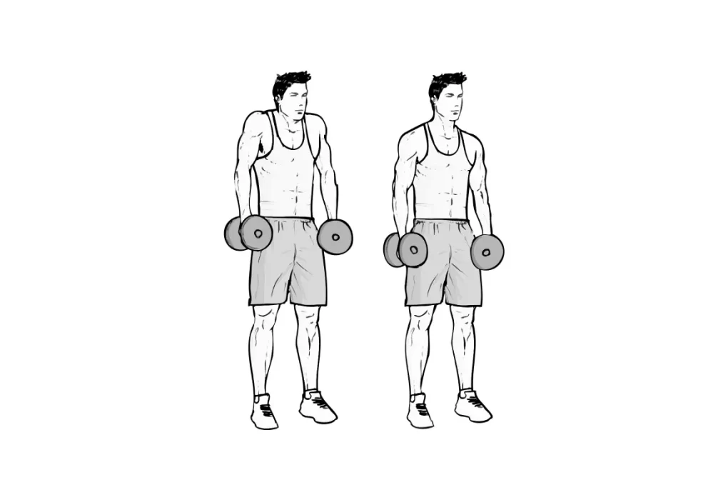 Dumbbell Shrugs