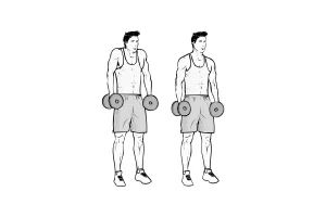 Dumbbell Shrugs