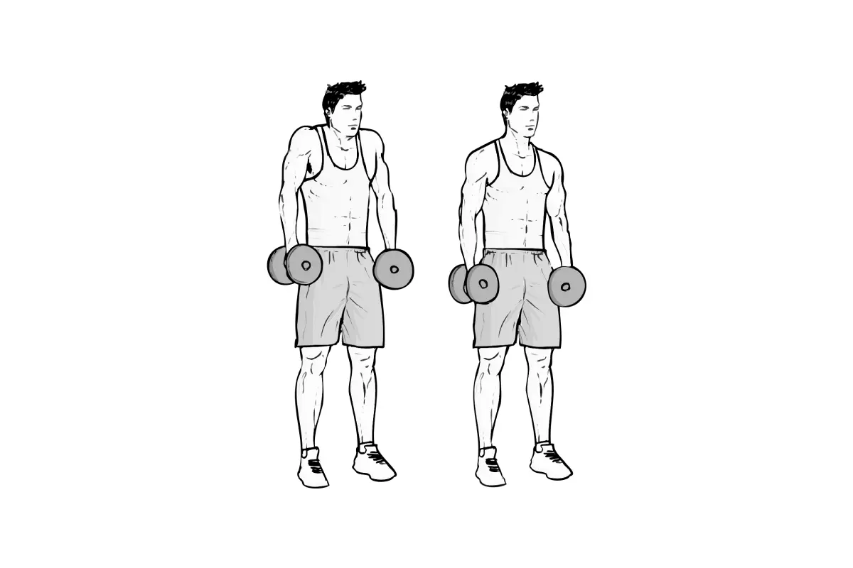 Dumbbell Shrugs