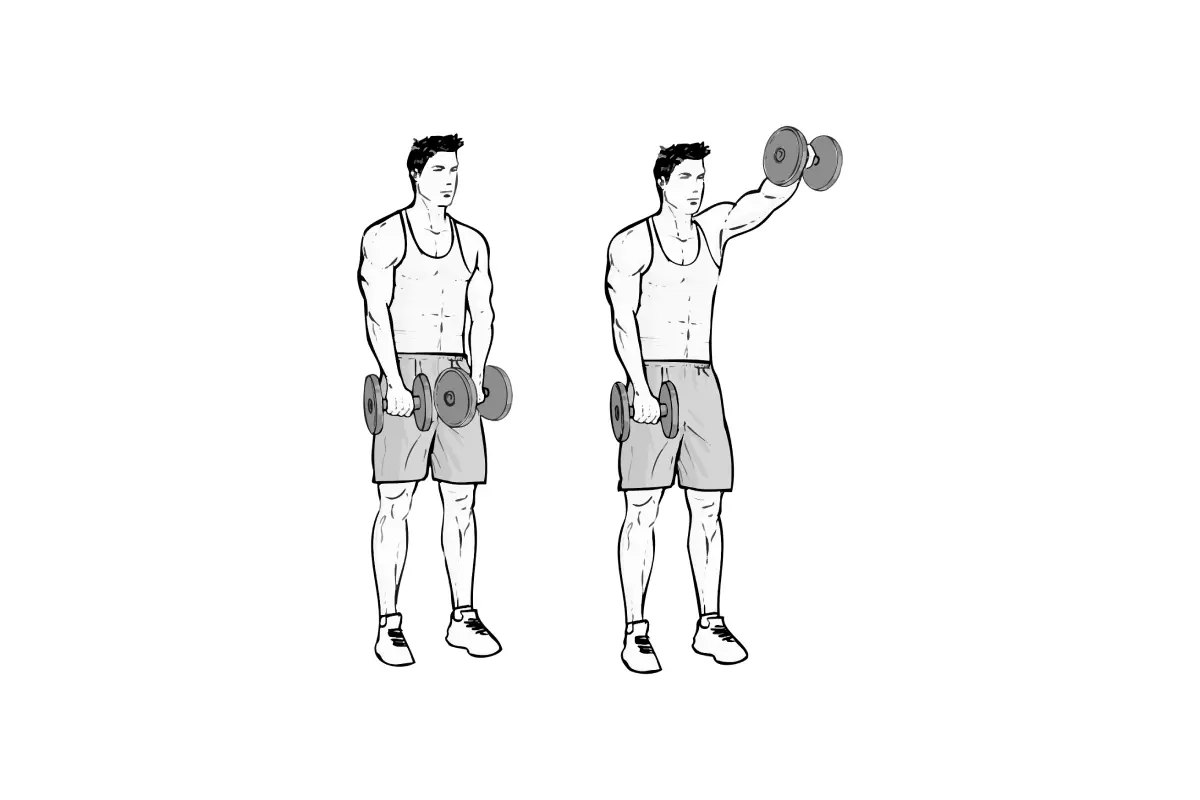 Front Shoulder Dumbbell Raises