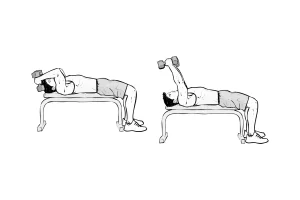 Lying Dumbbell Tricep Extensions