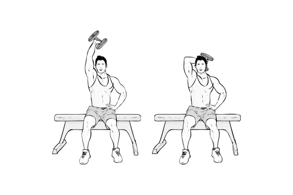 Overhead Dumbbell Tricep Extensions