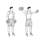 Side Shoulder Dumbbell Raises