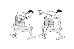 Tricep Dumbbell Kickbacks