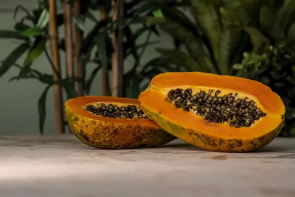 Papaya